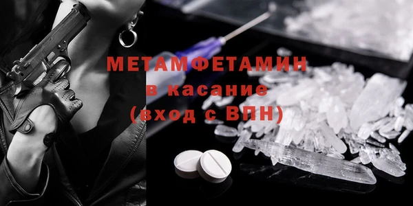 прущие грибы Каменногорск