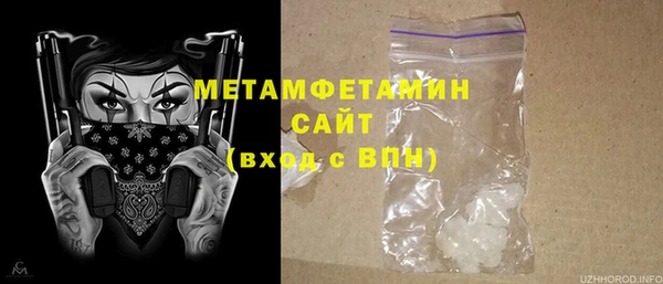 прущие грибы Каменногорск
