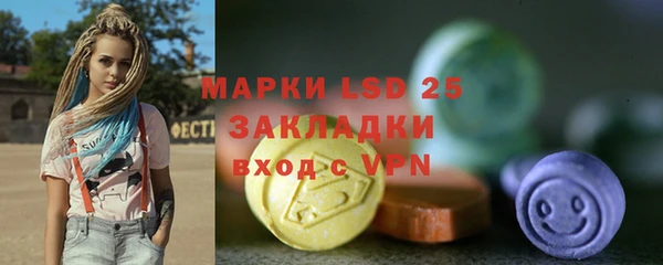 прущие грибы Каменногорск