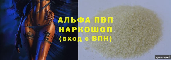 прущие грибы Каменногорск
