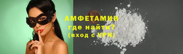 прущие грибы Каменногорск