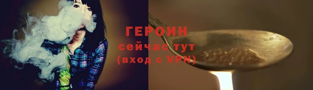 прущие грибы Каменногорск