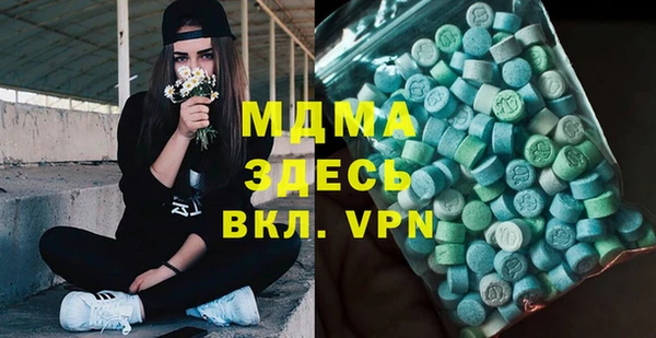 прущие грибы Каменногорск
