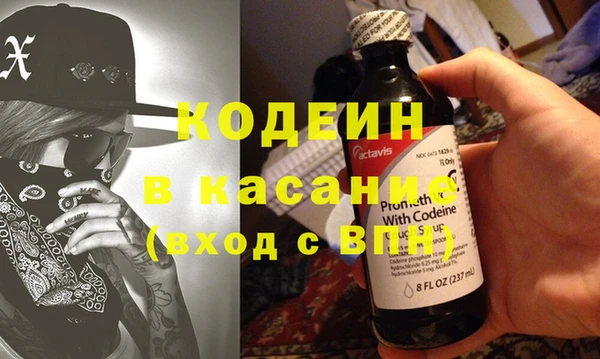 прущие грибы Каменногорск
