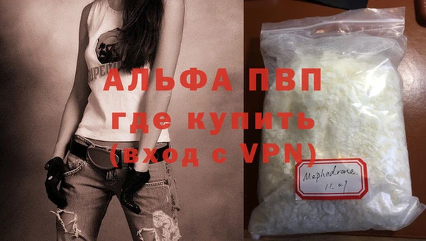 прущие грибы Каменногорск