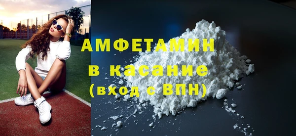 прущие грибы Каменногорск