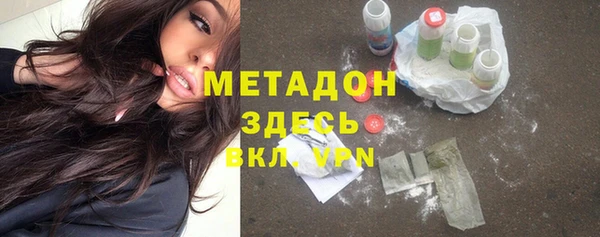 прущие грибы Каменногорск