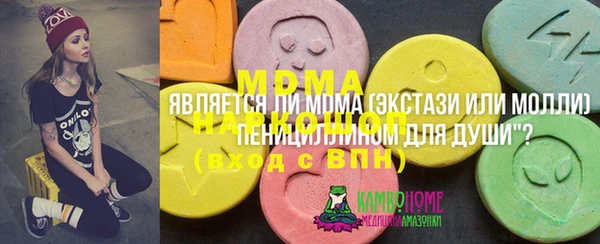прущие грибы Каменногорск