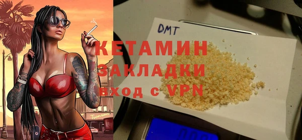 прущие грибы Каменногорск