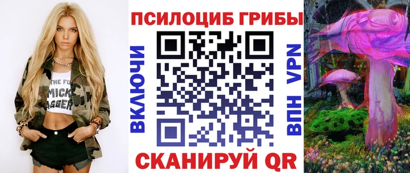 Псилоцибиновые грибы мицелий  Купить закладки  Ржев 