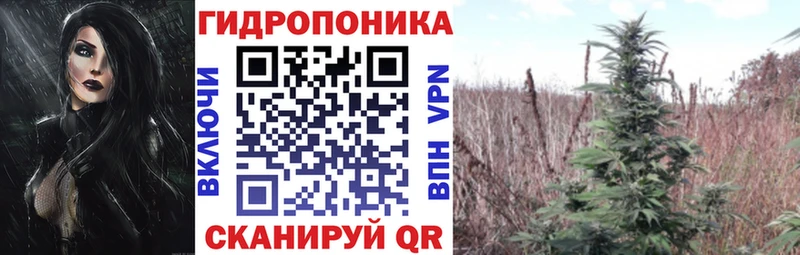 Каннабис ГИДРОПОН  Купить  Ржев 